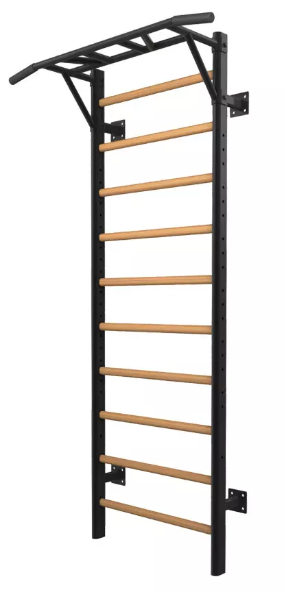 Letvenik Toorx LDX-3000
