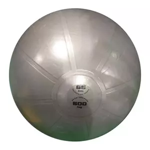 Gimnastična žoga Pro Toorx 65 cm, siva