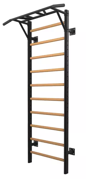 Letvenik Toorx LDX-3000