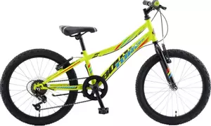 Otroško kolo Booster Turbo 200 20", green