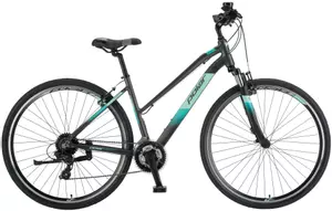 Treking kolo POLAR FORESTER COMP 28" grey-light blue