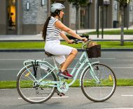 Slika Mestno kolo Polar Grazia 28", 7P thin leaf